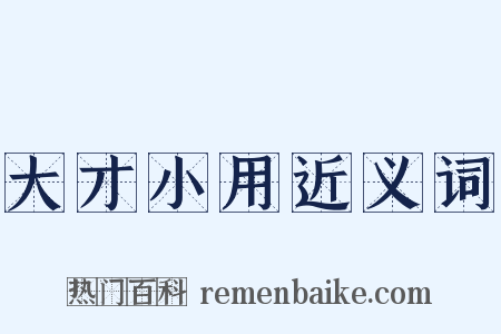 大才小用近义词是什么意思的图片